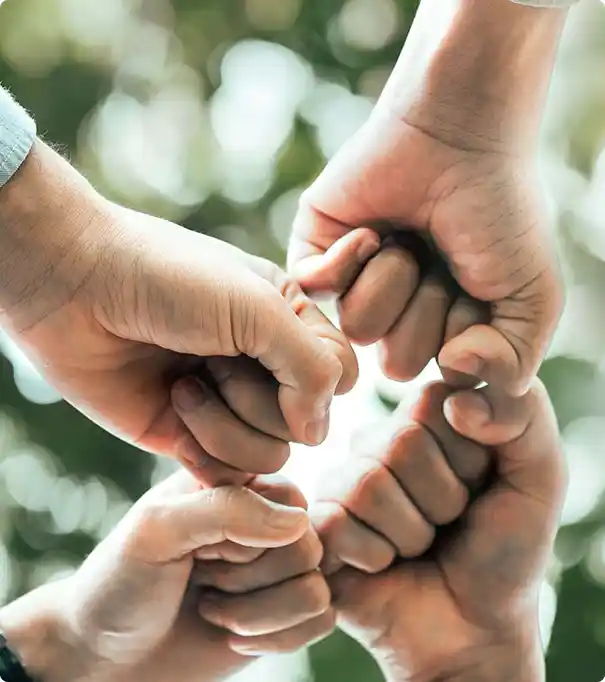 NDIS Support Service North Sydney